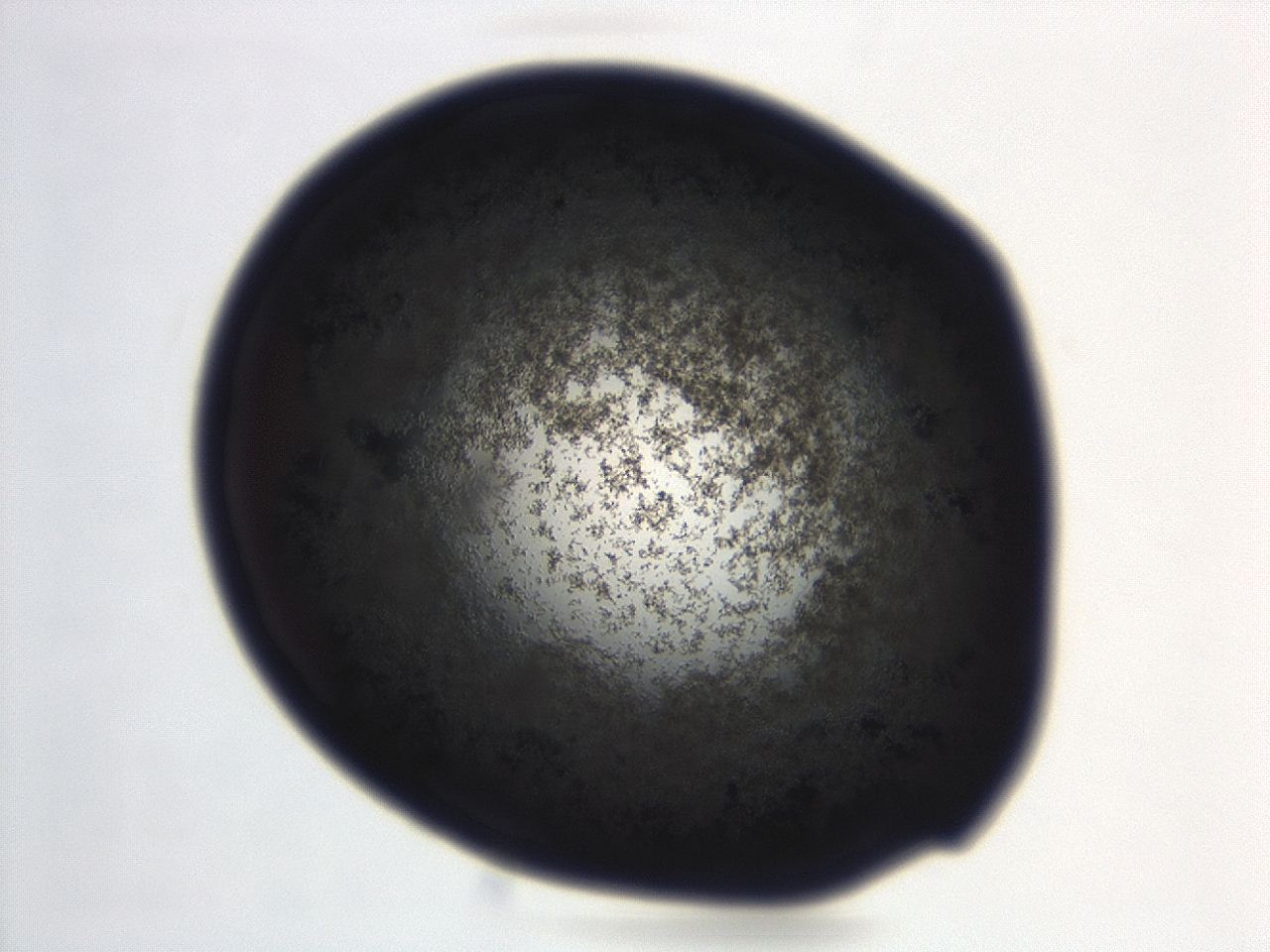 04f0_C11_ImagerDefaults_3.jpg