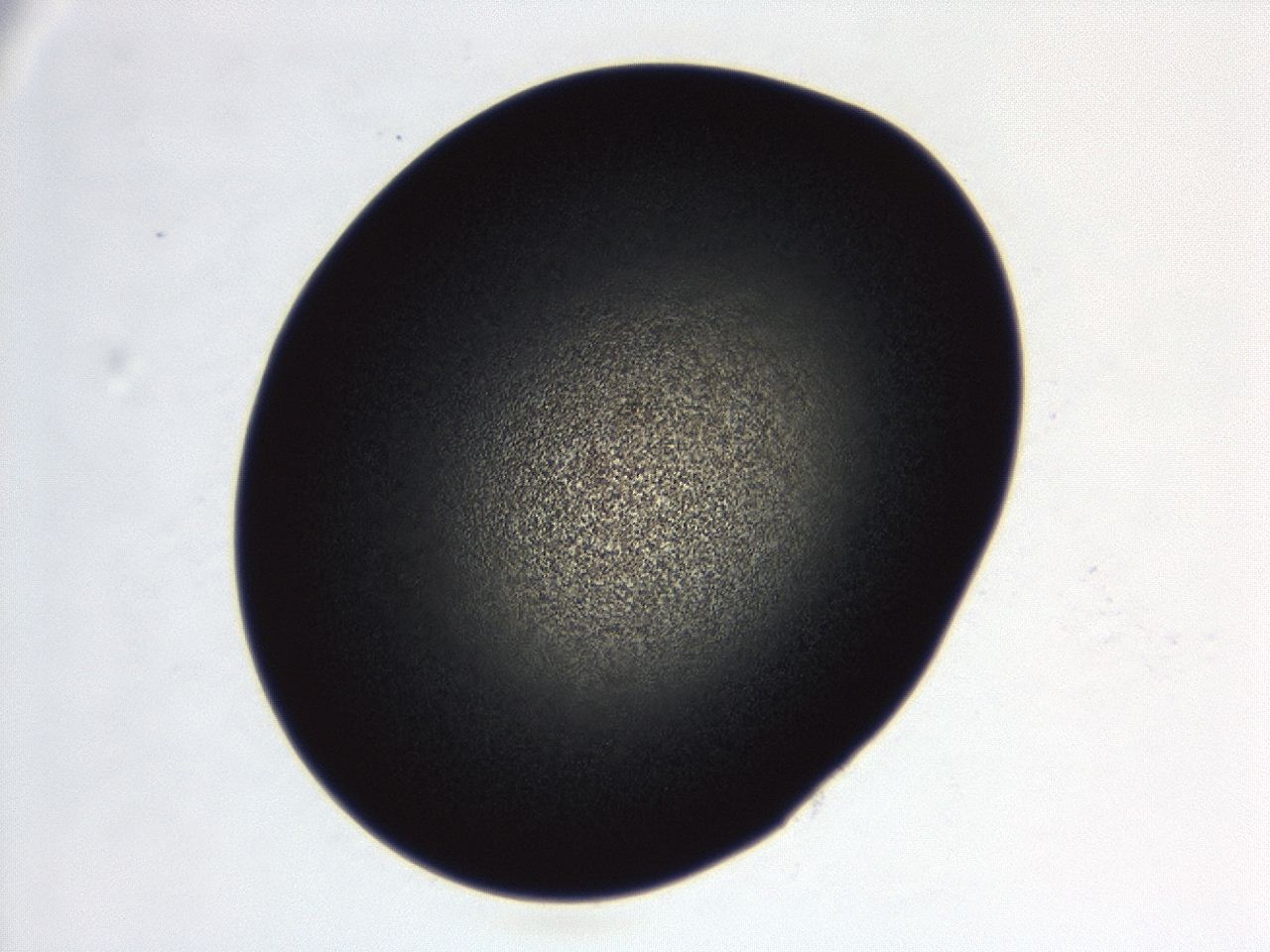 04f0_C4_ImagerDefaults_3.jpg