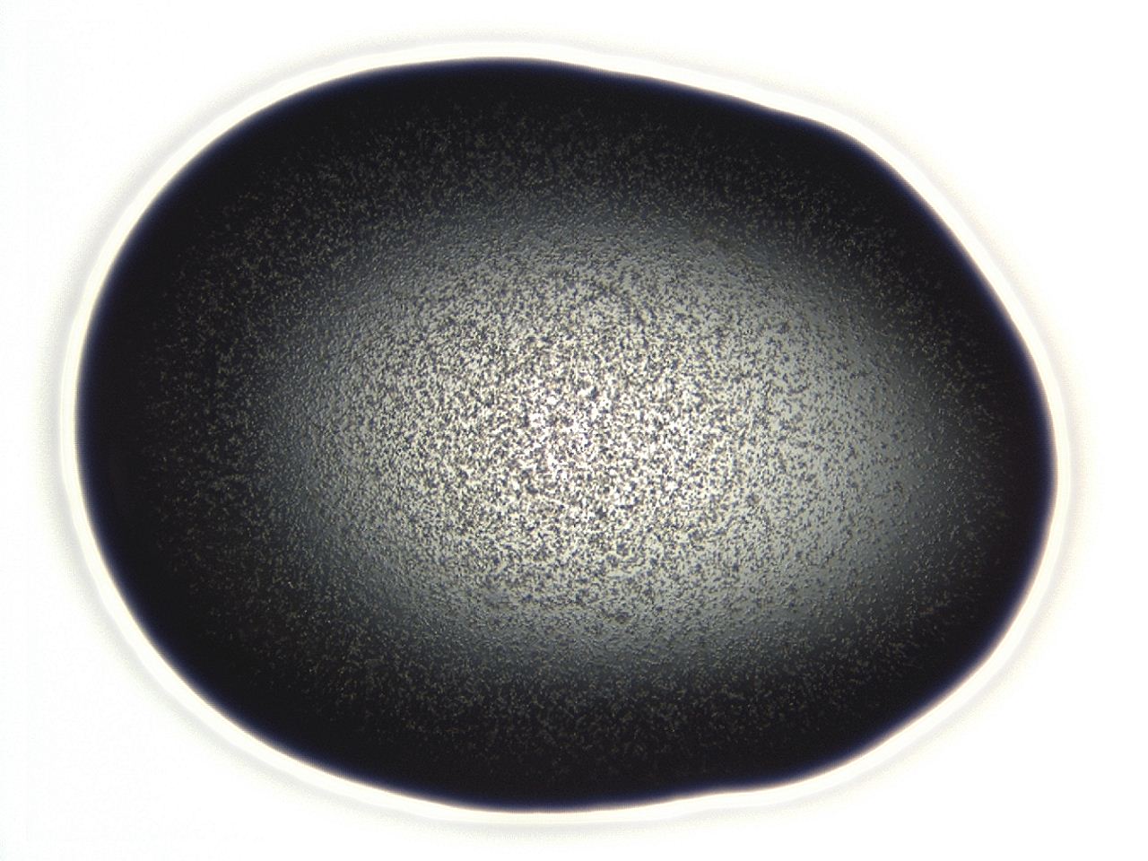 04f0_C8_ImagerDefaults_3.jpg