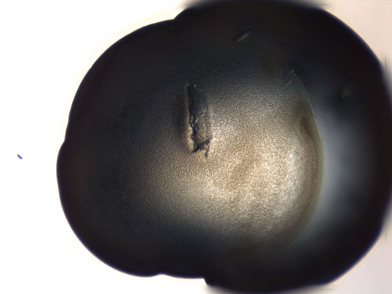 04f0_A1_ImagerDefaults_3.jpg