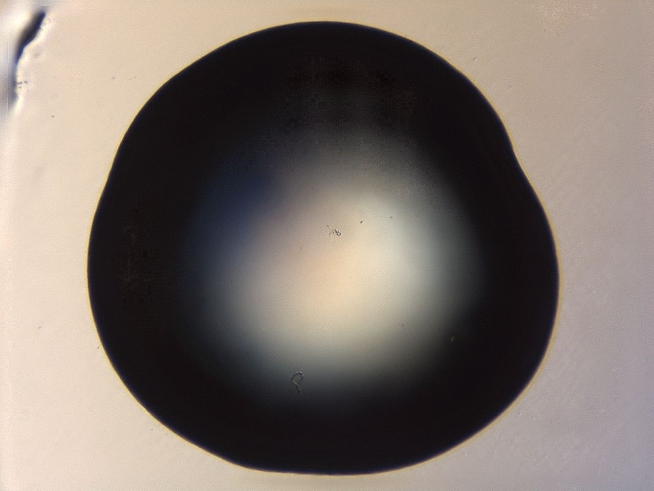 04f0_A2_ImagerDefaults_0.jpg