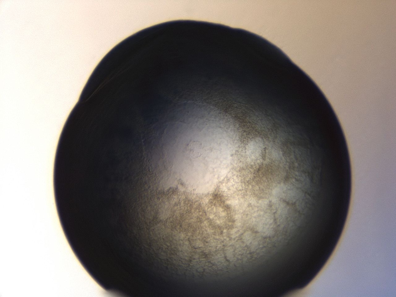 04f0_A5_ImagerDefaults_3.jpg