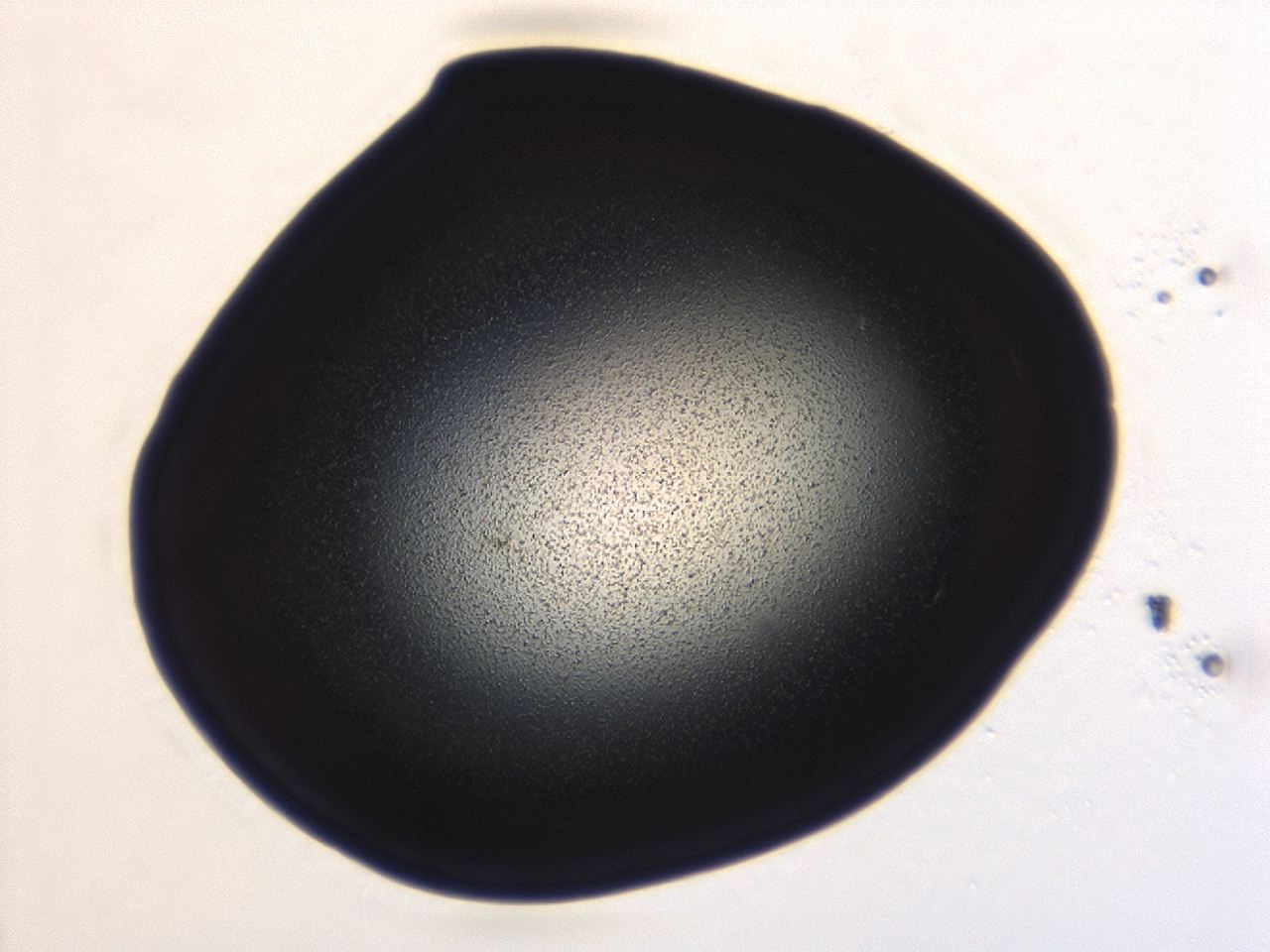04f0_A6_ImagerDefaults_3.jpg