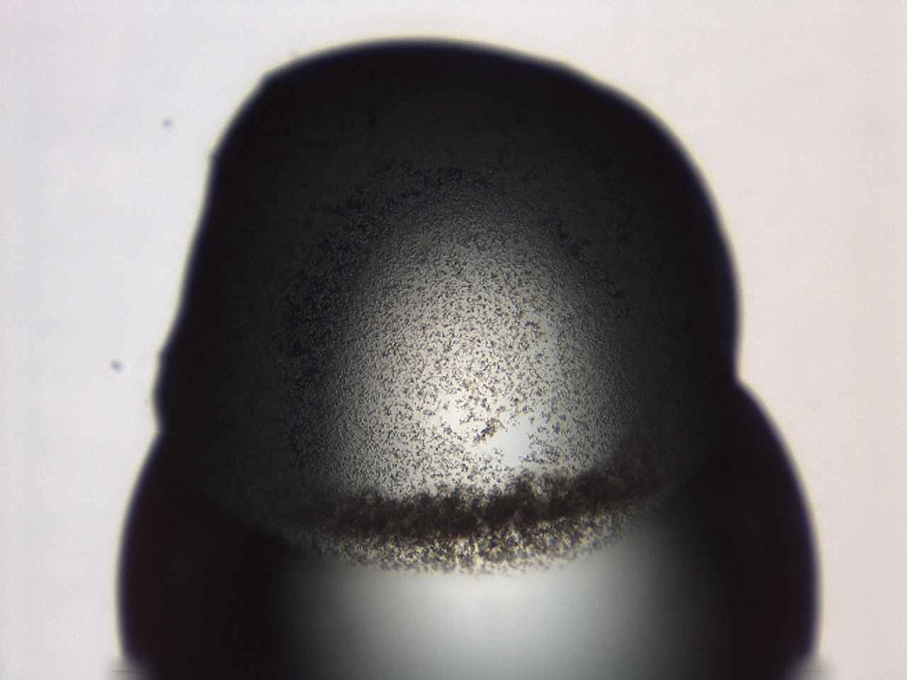 04f0_A8_ImagerDefaults_3.jpg