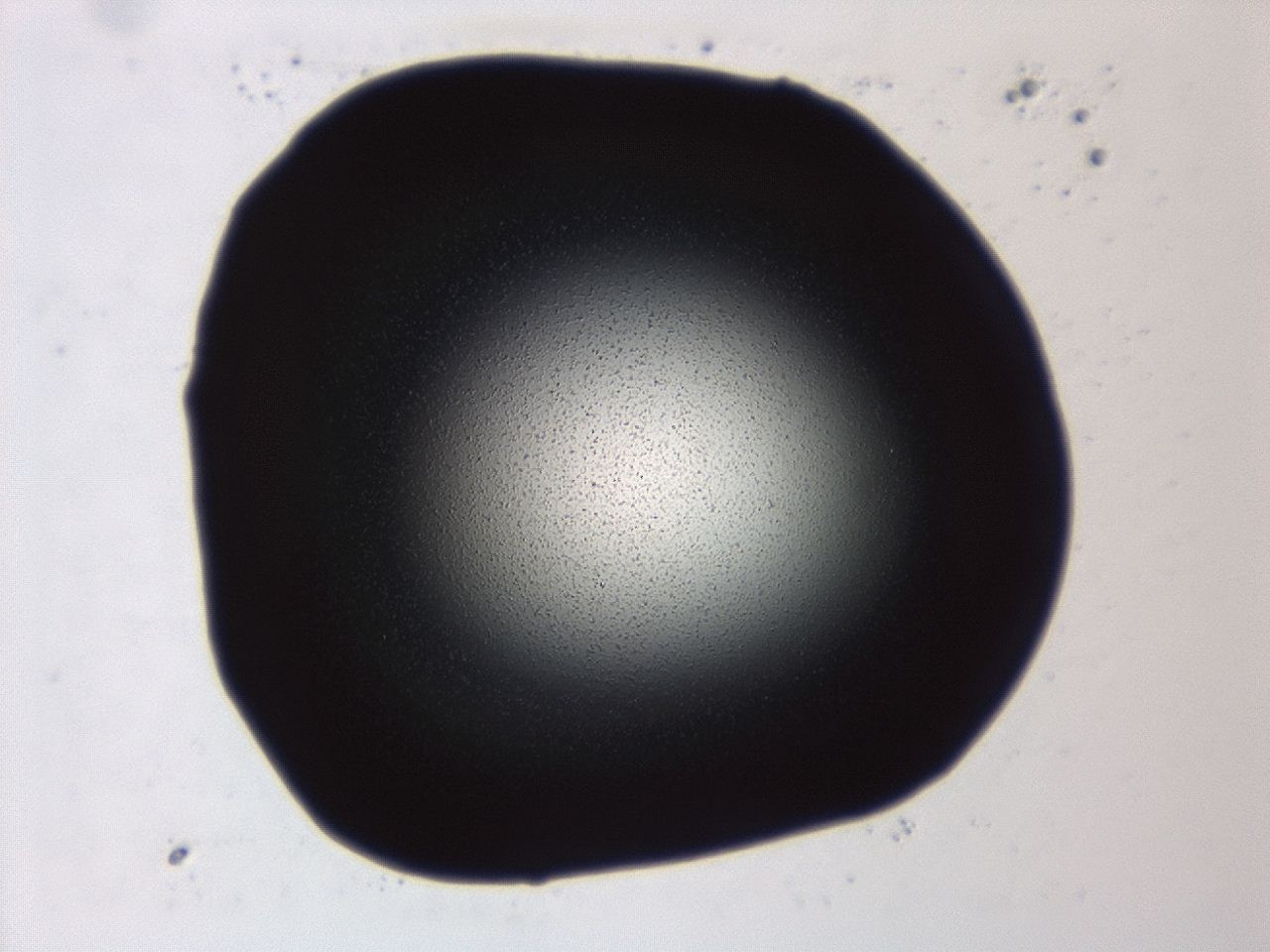 04f0_A9_ImagerDefaults_0.jpg