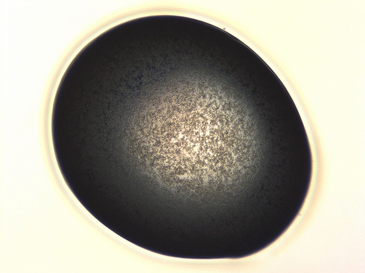 04f0_A10_ImagerDefaults_3.jpg
