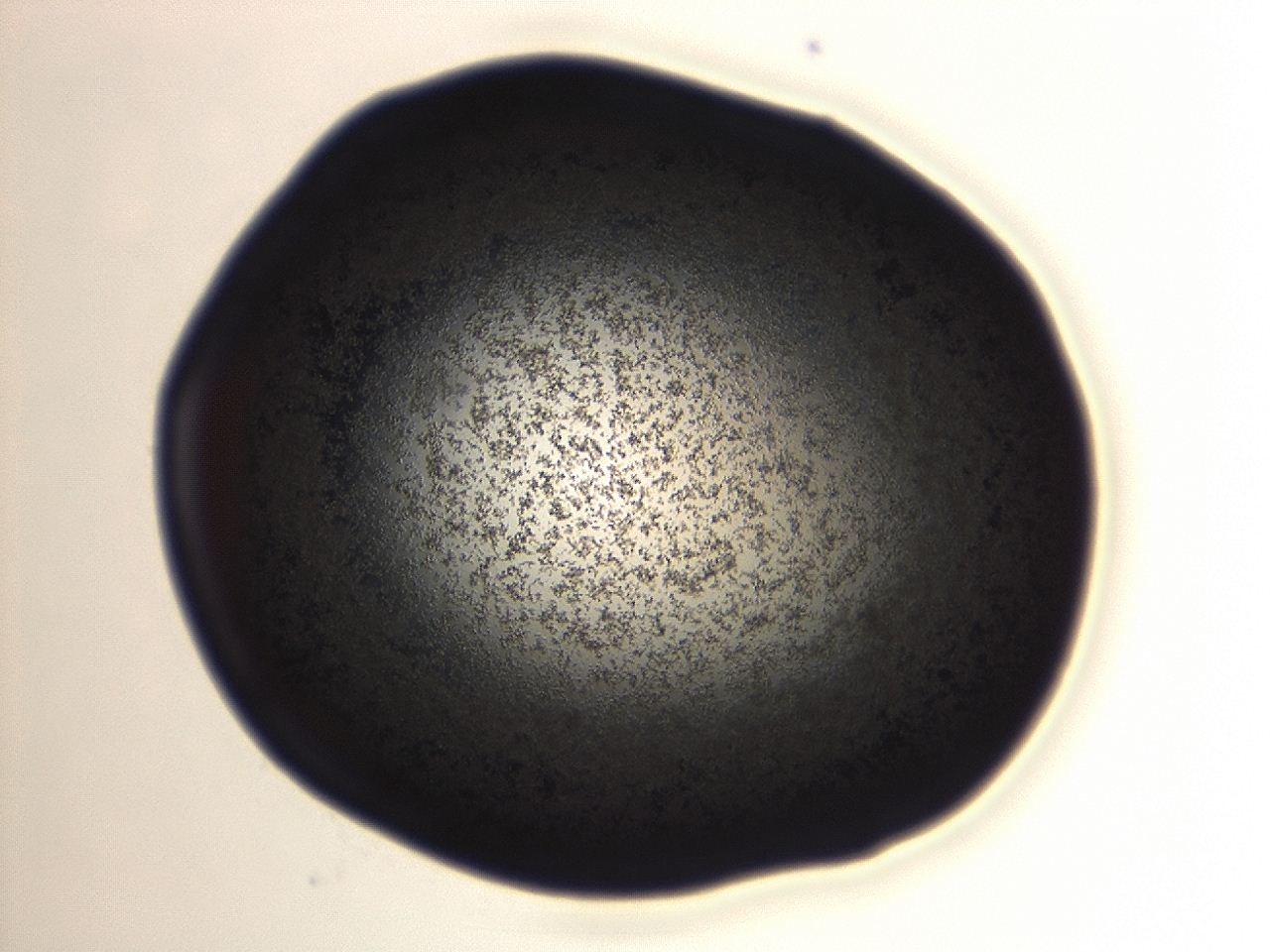 04f0_A11_ImagerDefaults_3.jpg