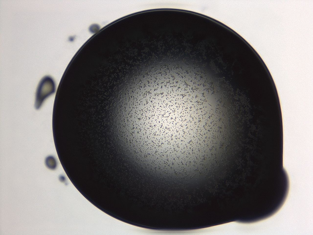 04f0_A12_ImagerDefaults_3.jpg