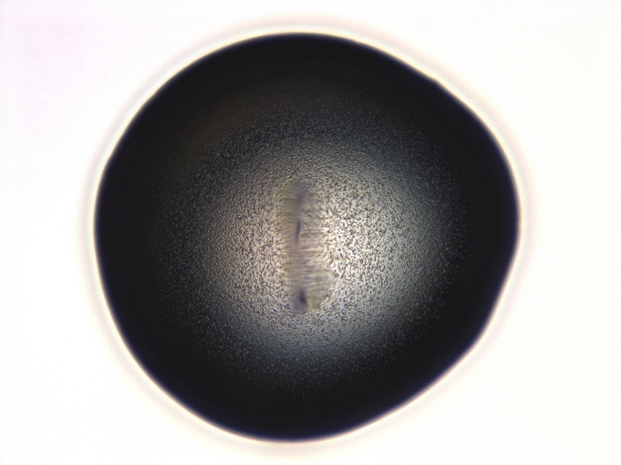 04f0_B1_ImagerDefaults_3.jpg