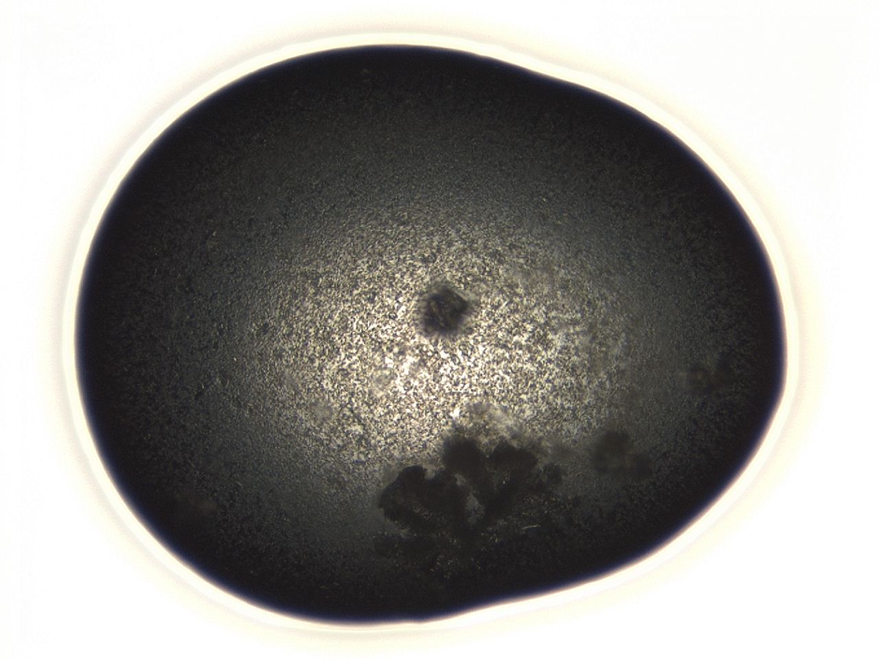 04f0_B2_ImagerDefaults_3.jpg