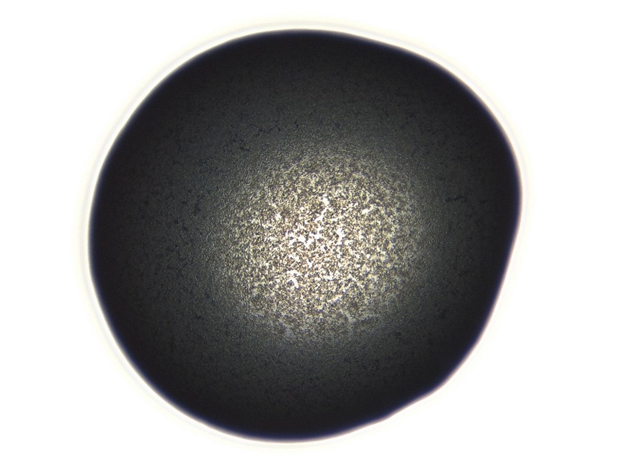 04f0_D4_ImagerDefaults_3.jpg