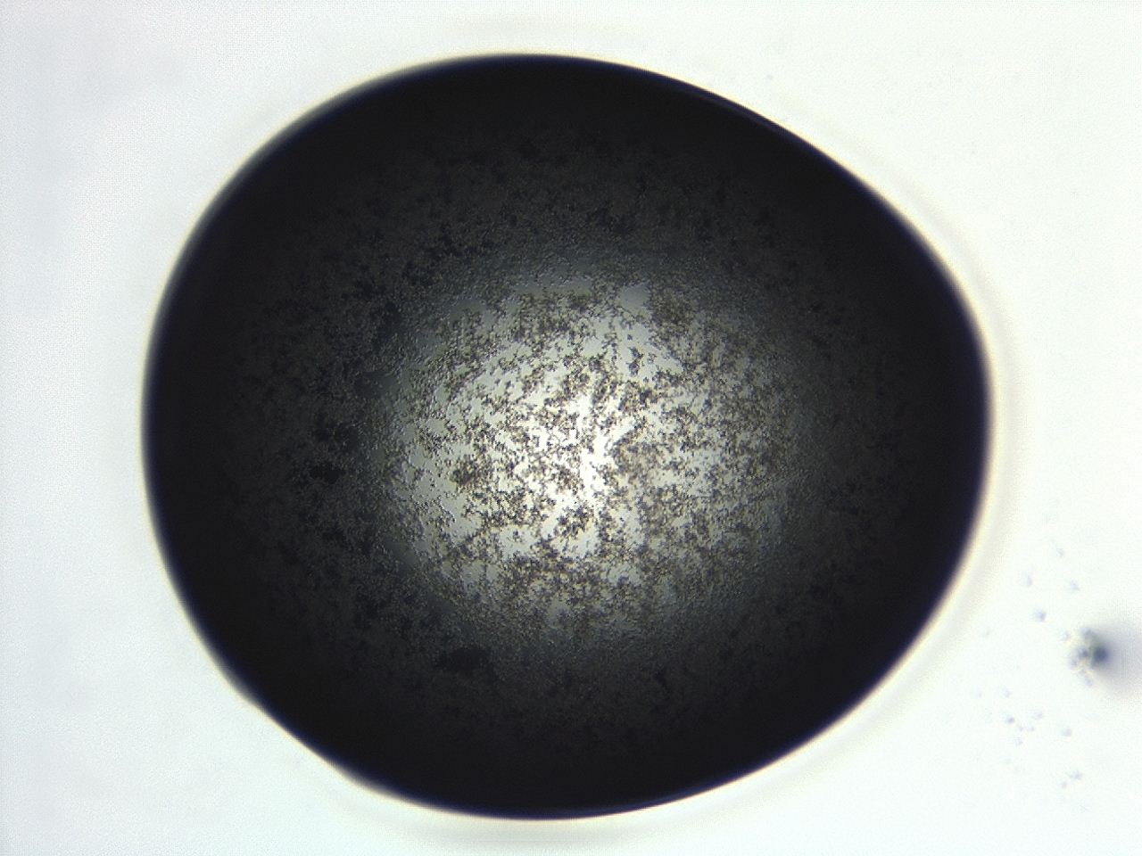 04f0_D5_ImagerDefaults_3.jpg