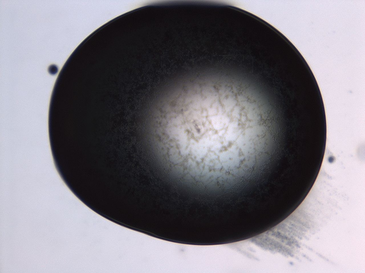 04f0_D6_ImagerDefaults_3.jpg