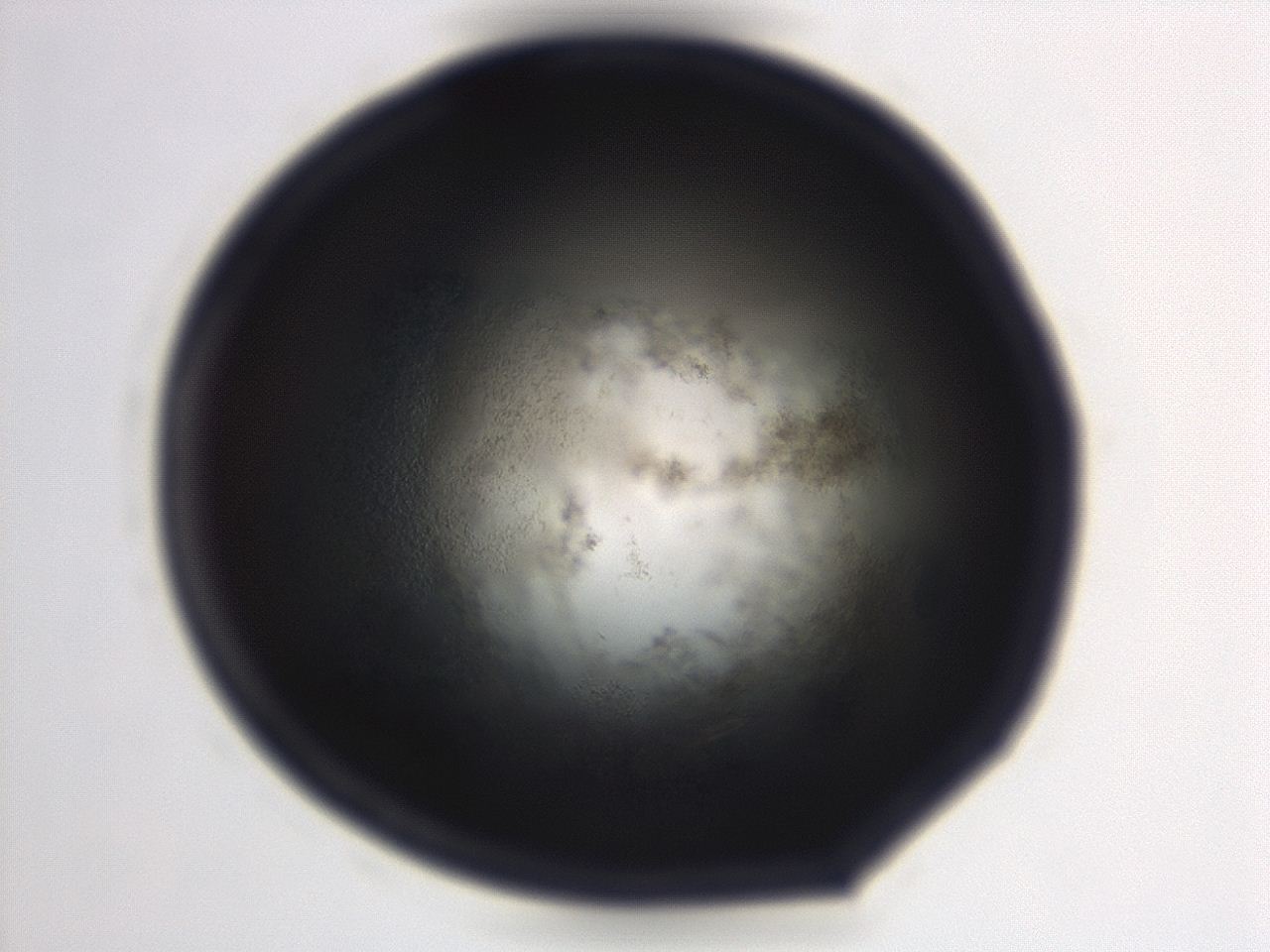 04f0_D12_ImagerDefaults_3.jpg