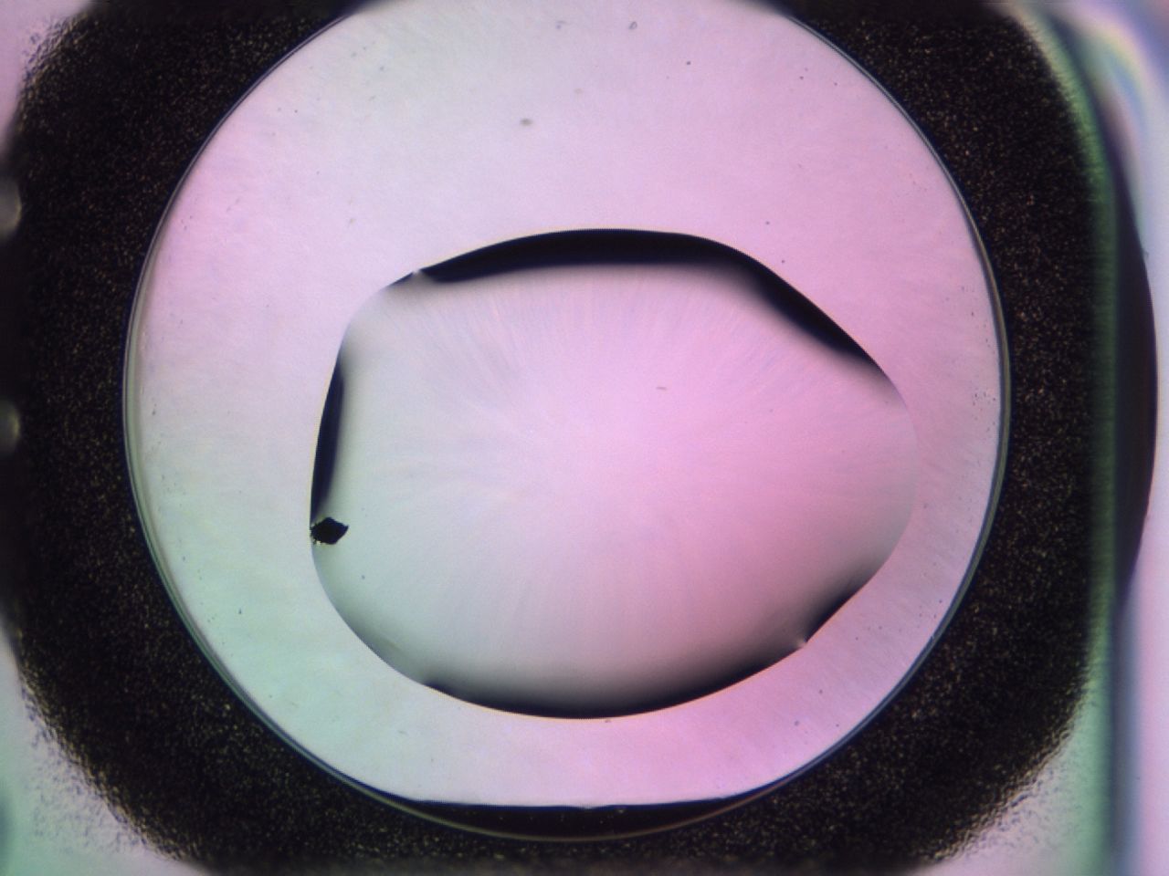 0174_E8_ImagerDefaults_1.jpg