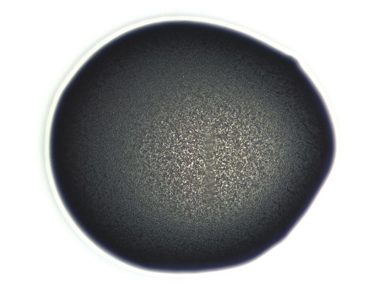 04f0_E1_ImagerDefaults_3.jpg