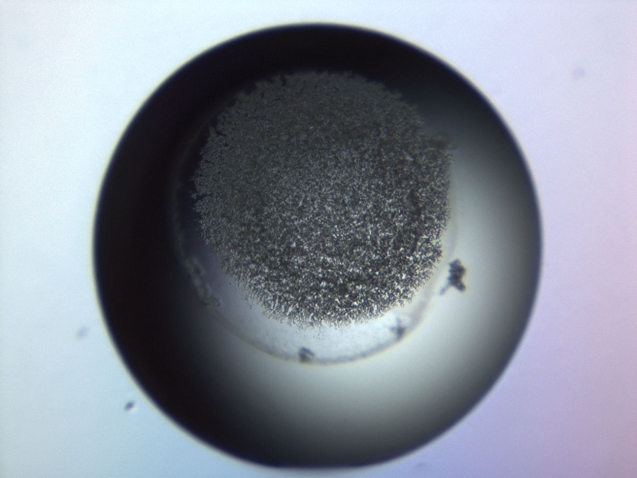 04f0_E2_ImagerDefaults_3.jpg