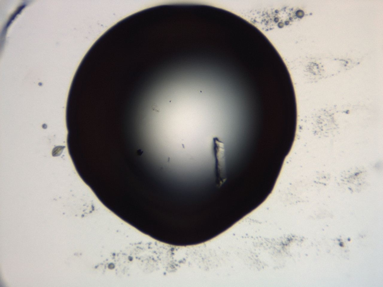 04f0_B7_ImagerDefaults_0.jpg