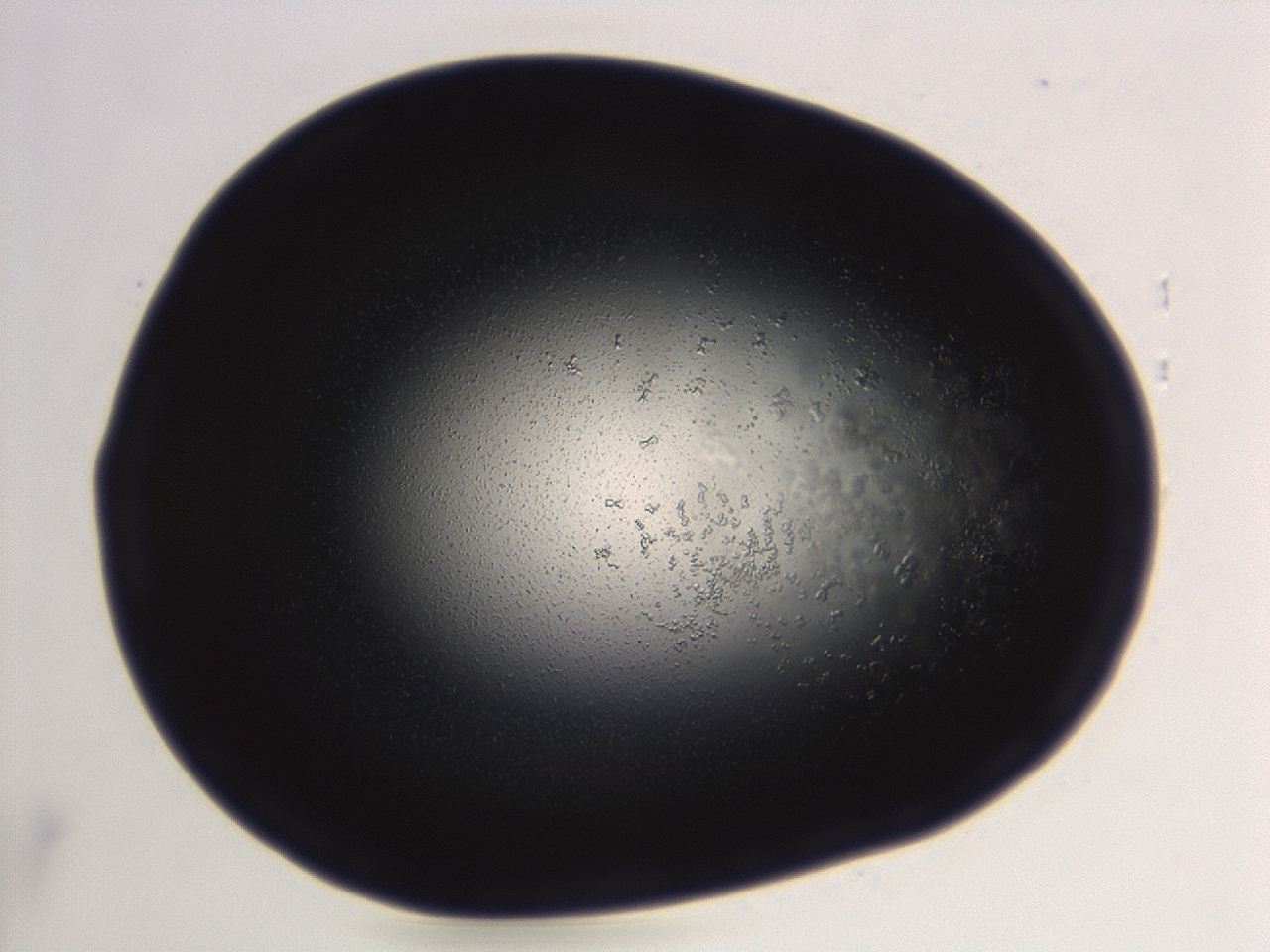 04f0_B10_ImagerDefaults_6.jpg