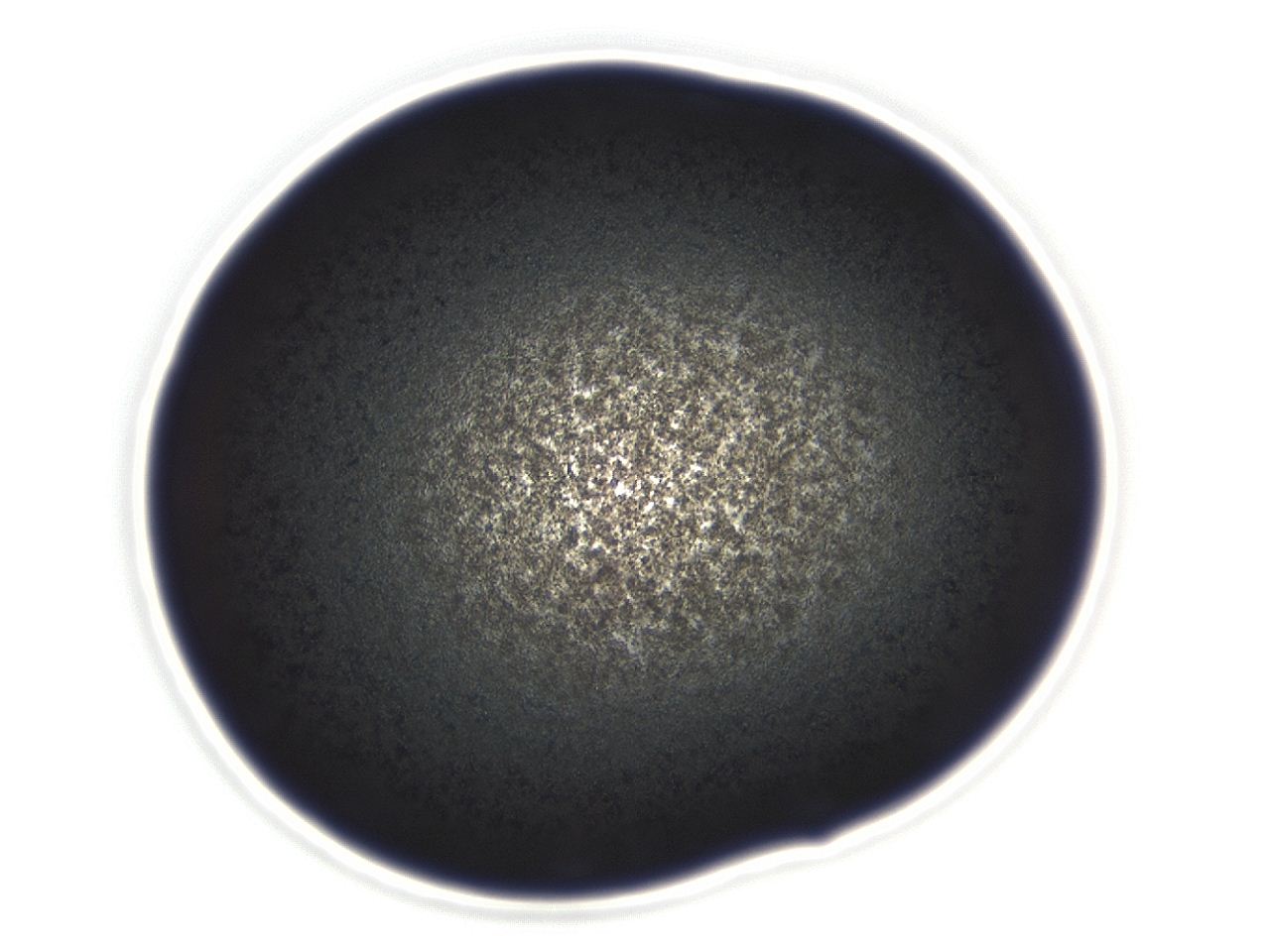 04f0_B11_ImagerDefaults_3.jpg