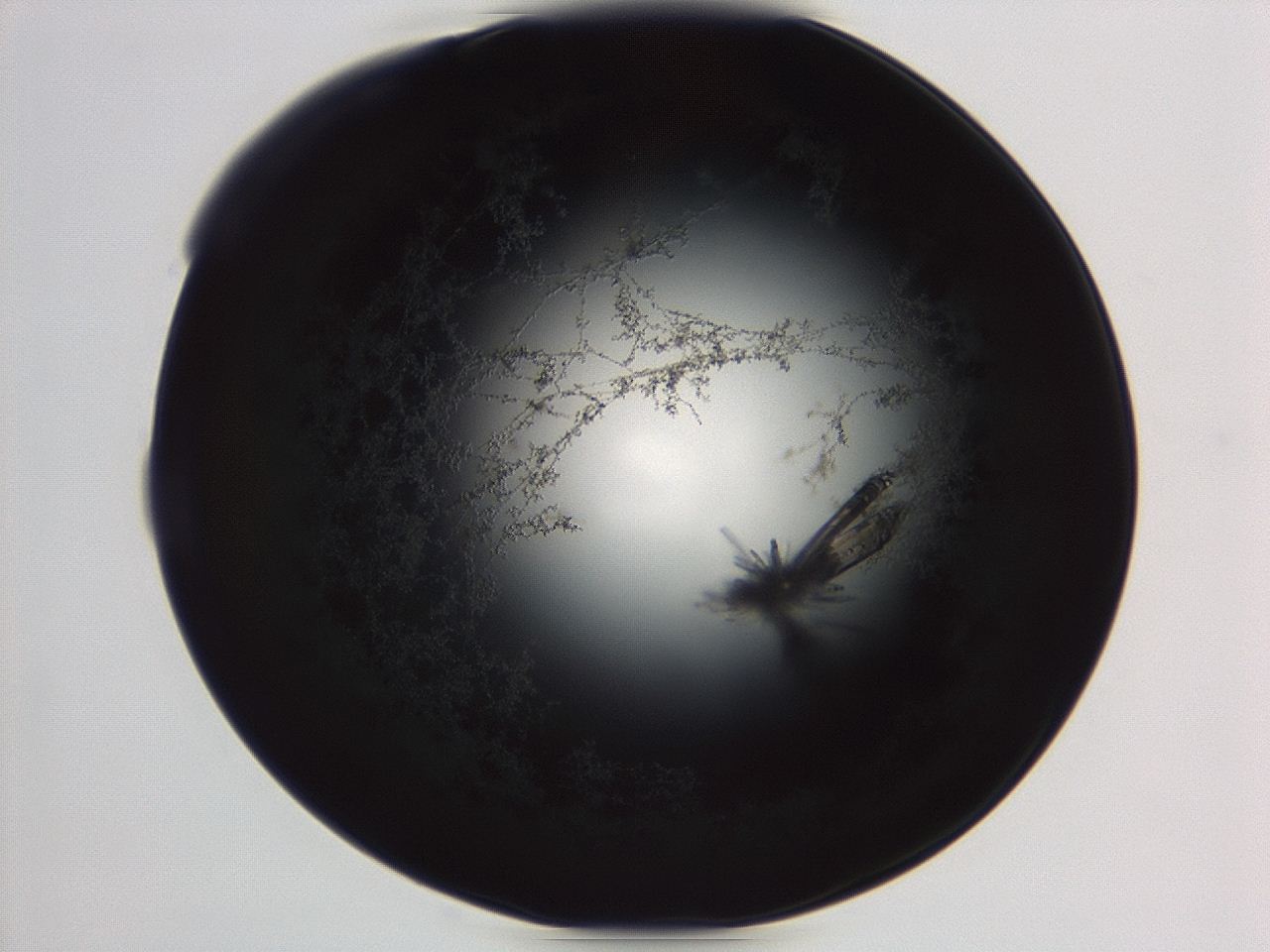 04f0_B12_ImagerDefaults_3.jpg