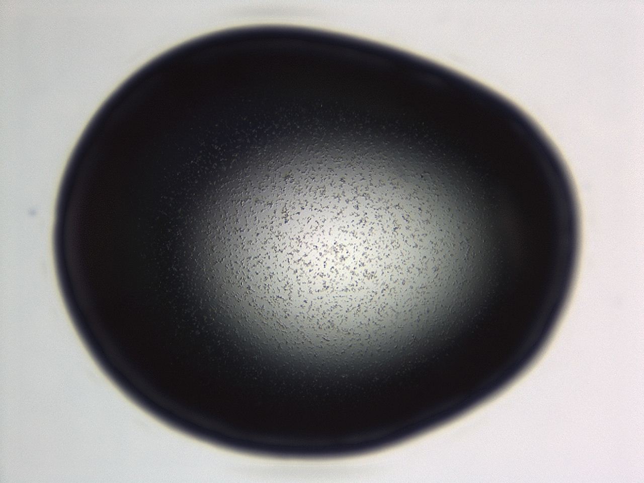 04f0_E3_ImagerDefaults_3.jpg