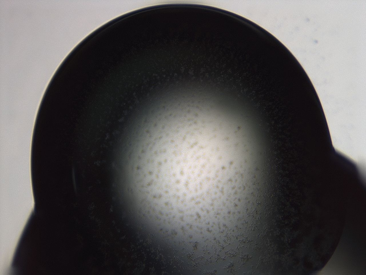 04f0_E4_ImagerDefaults_3.jpg