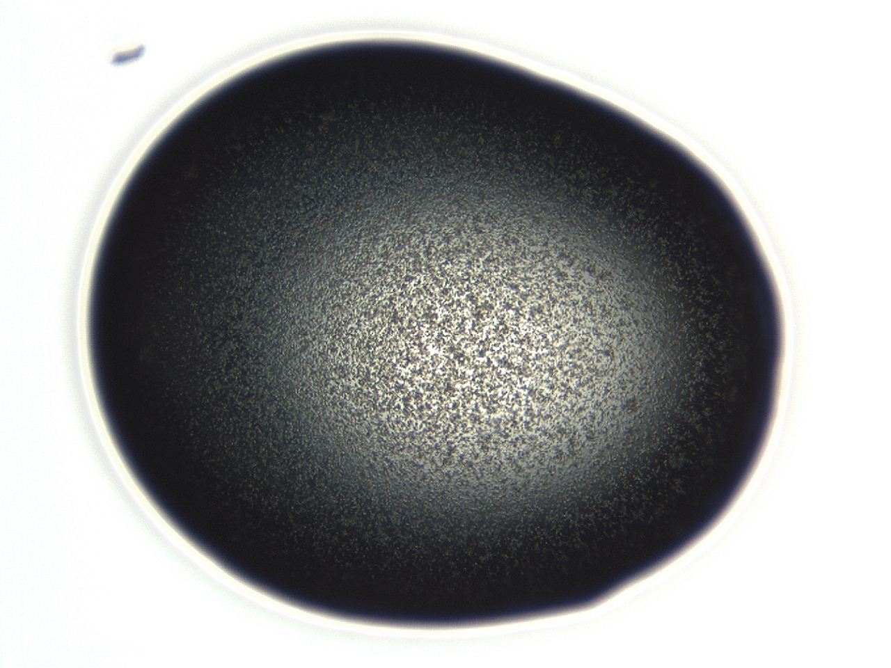 04f0_E5_ImagerDefaults_3.jpg