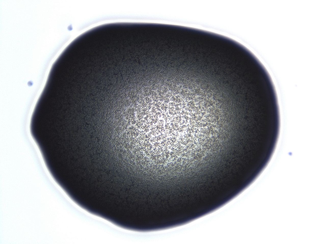04f0_E6_ImagerDefaults_3.jpg