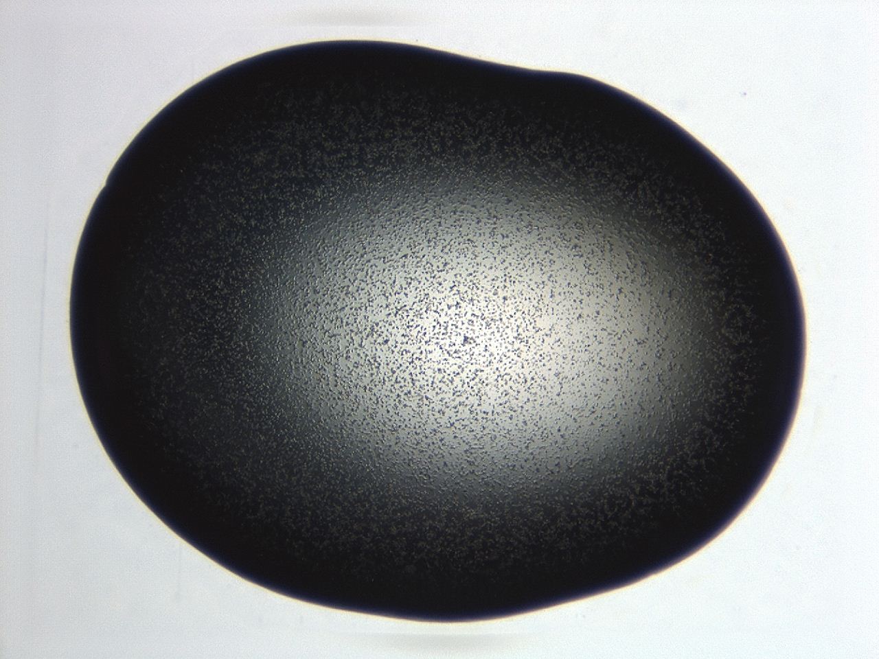 04f0_E8_ImagerDefaults_3.jpg