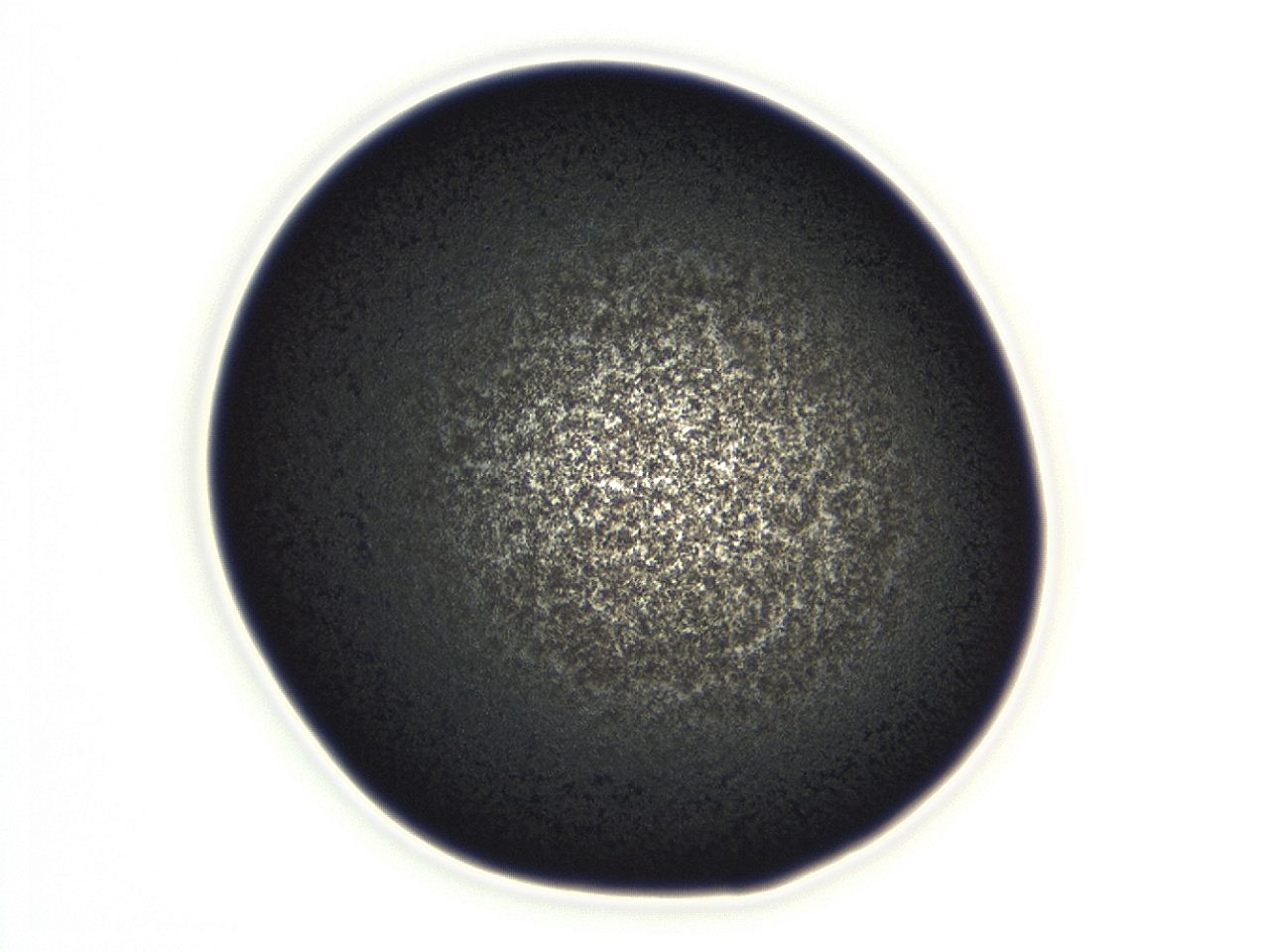04f0_E9_ImagerDefaults_3.jpg