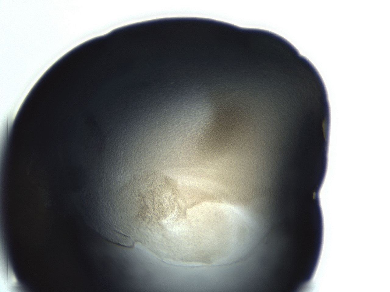 04f0_E10_ImagerDefaults_3.jpg