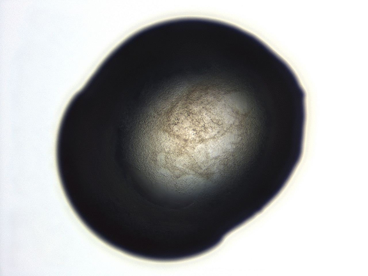 04f0_E12_ImagerDefaults_3.jpg