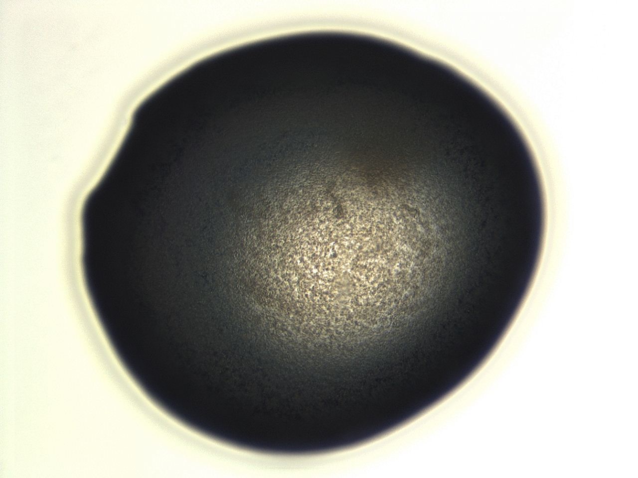 04f0_F1_ImagerDefaults_3.jpg