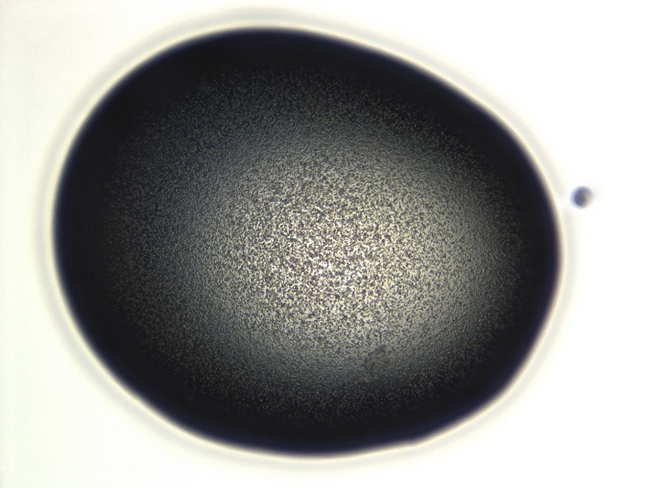 04f0_F3_ImagerDefaults_3.jpg