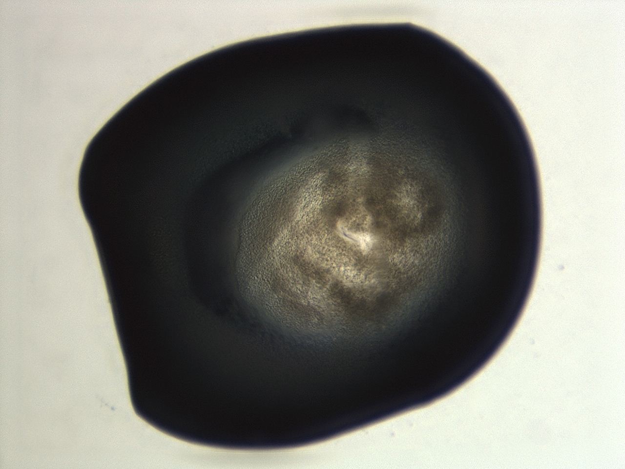 04f0_F7_ImagerDefaults_3.jpg