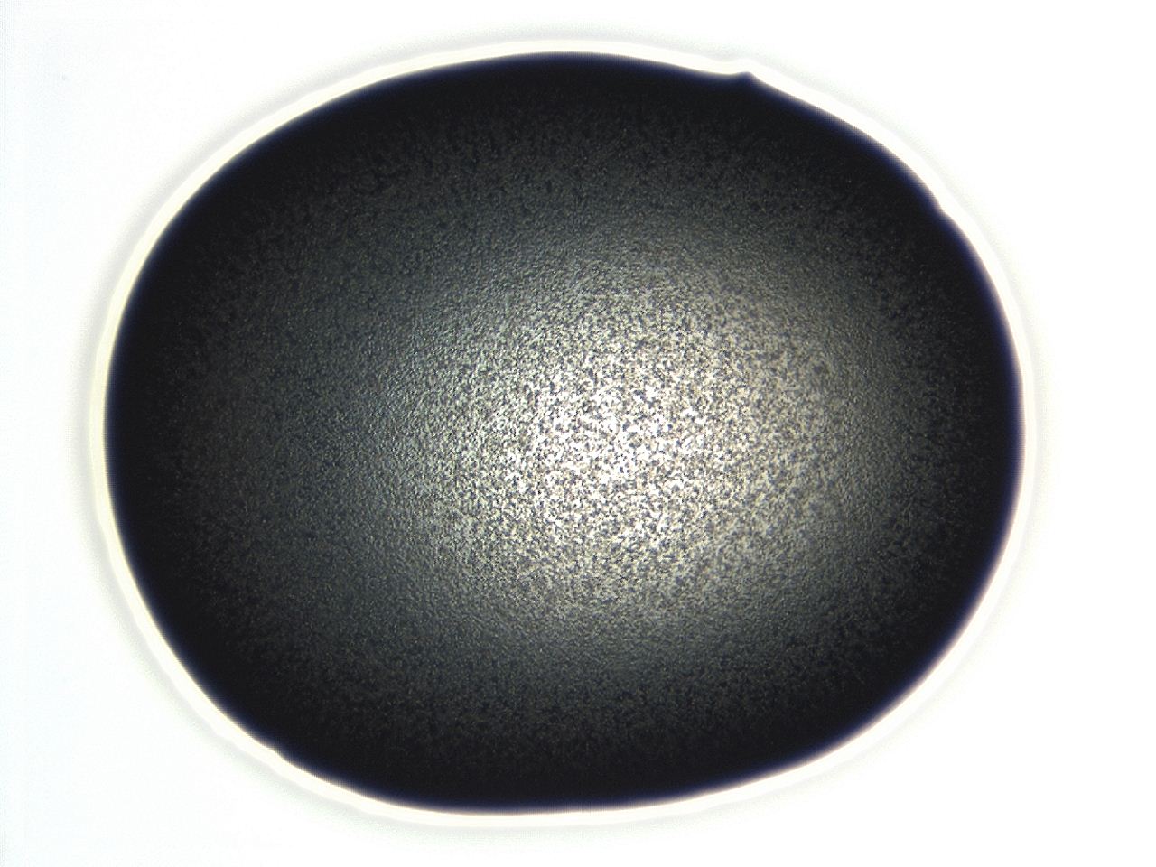 04f0_F8_ImagerDefaults_3.jpg