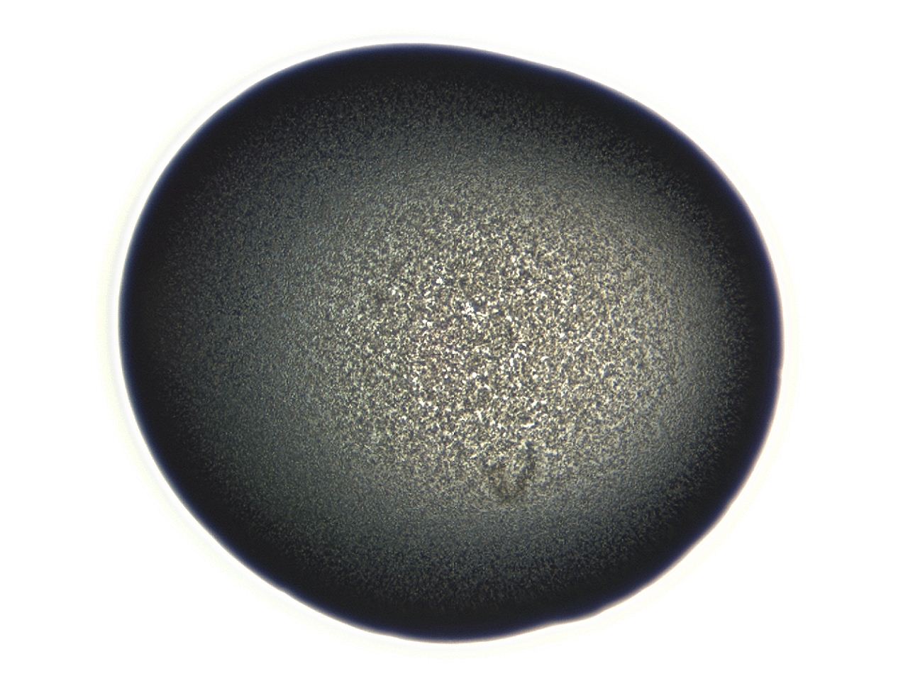 04f0_F9_ImagerDefaults_3.jpg