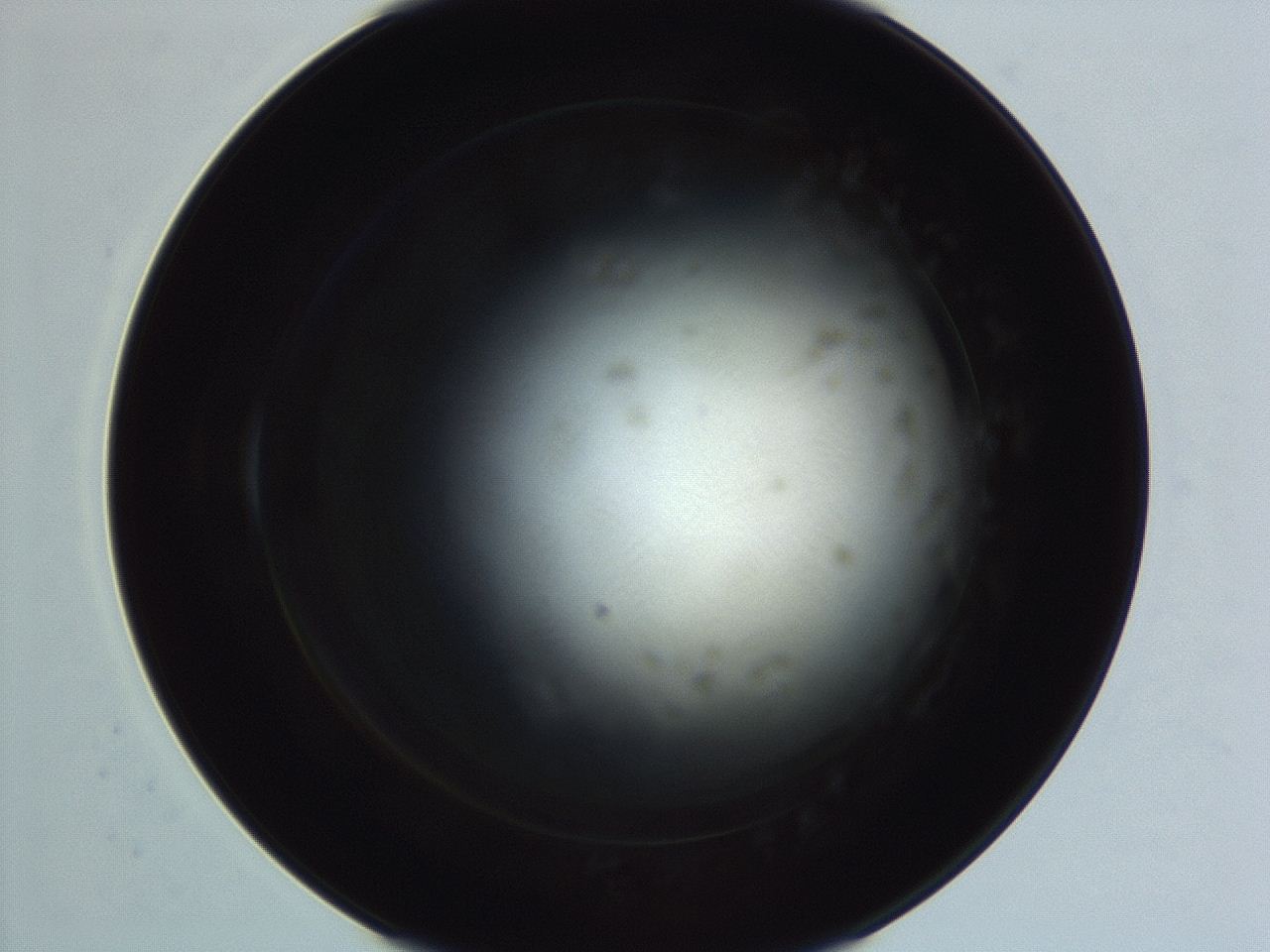 04f0_F10_ImagerDefaults_3.jpg