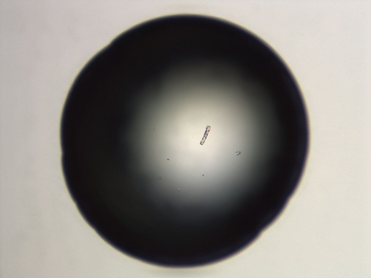 04f0_F11_ImagerDefaults_0.jpg