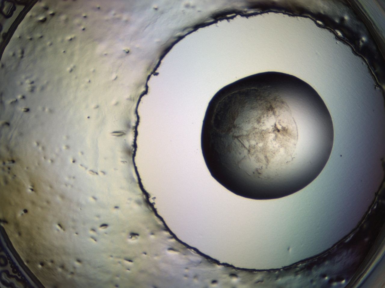 04f0_F12_ImagerDefaults_3.jpg