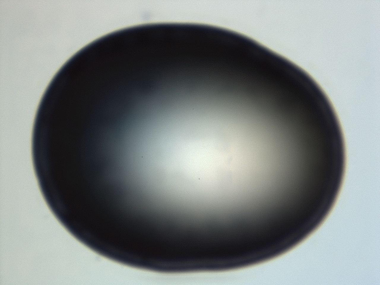 04f0_G1_ImagerDefaults_0.jpg
