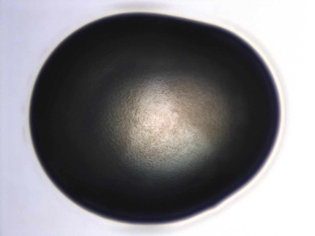 04f0_G3_ImagerDefaults_3.jpg