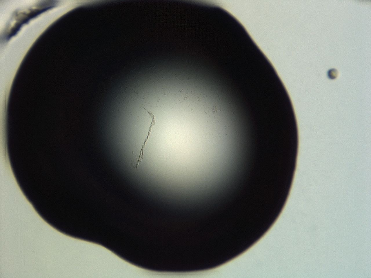 04f0_G6_ImagerDefaults_0.jpg