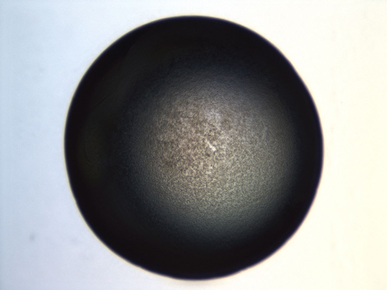 04f0_G7_ImagerDefaults_3.jpg