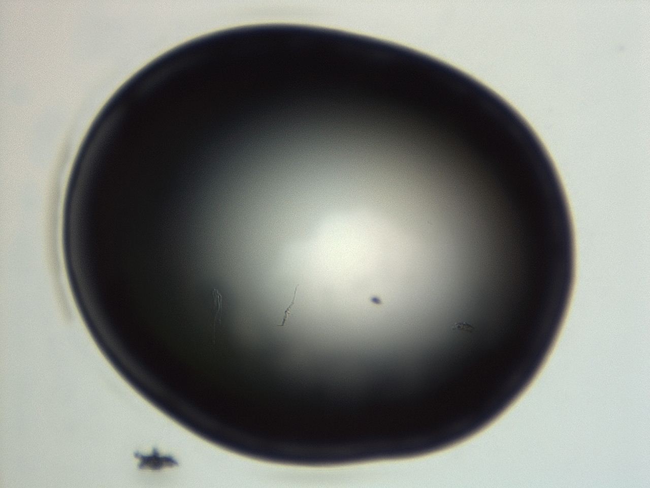 04f0_G9_ImagerDefaults_0.jpg