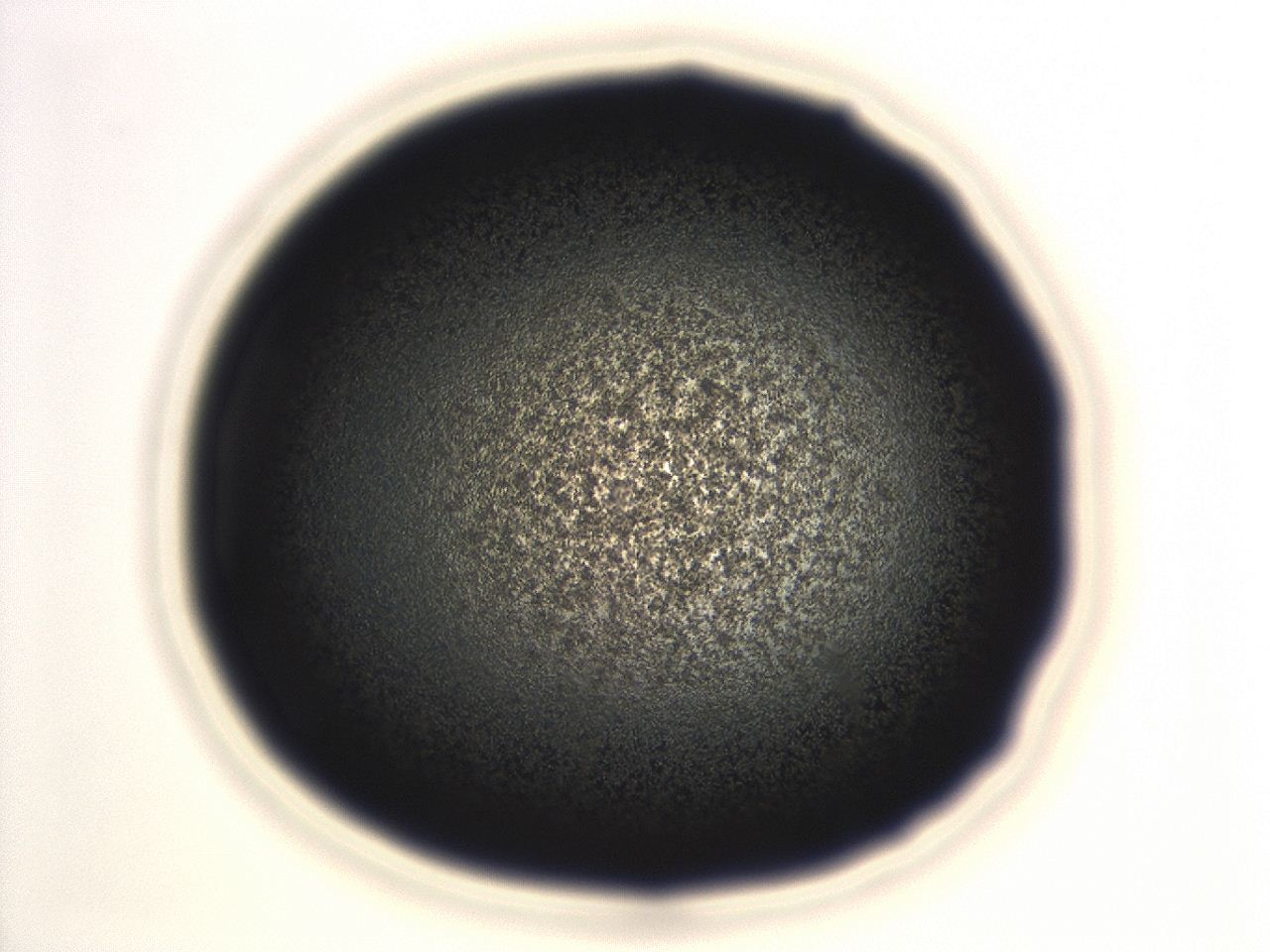 04f0_G12_ImagerDefaults_3.jpg