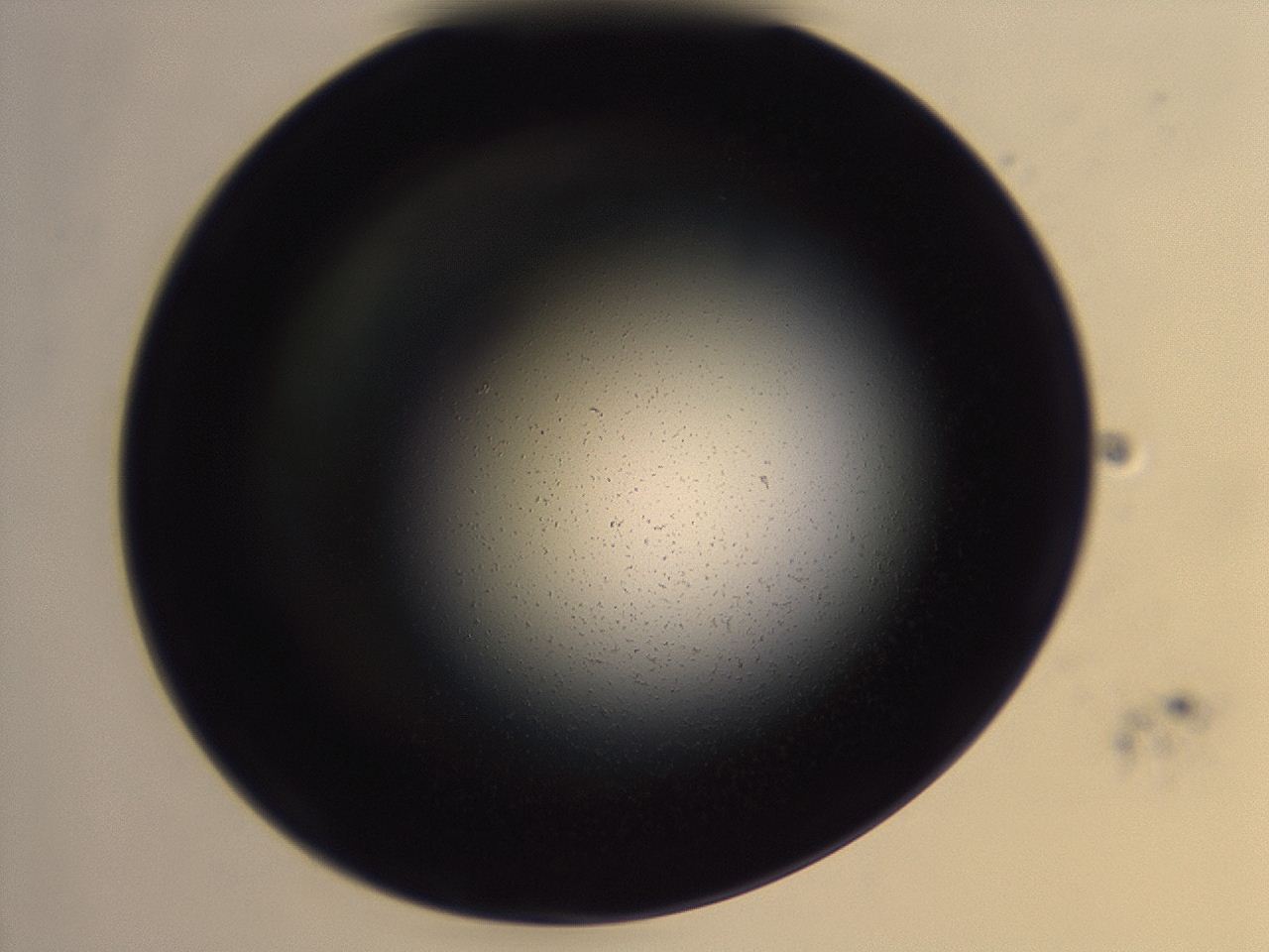 04f0_H2_ImagerDefaults_0.jpg