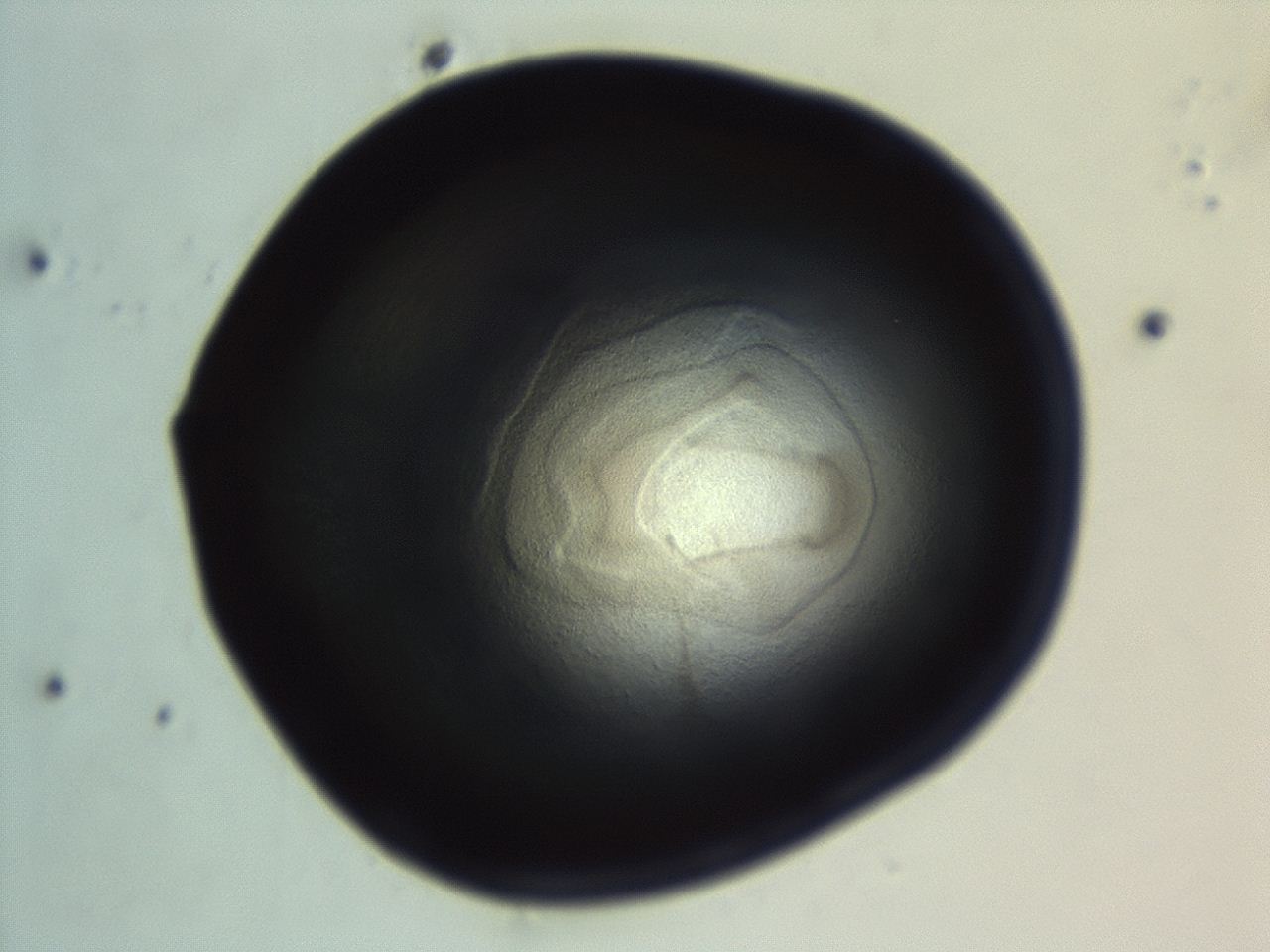 04f0_H3_ImagerDefaults_3.jpg
