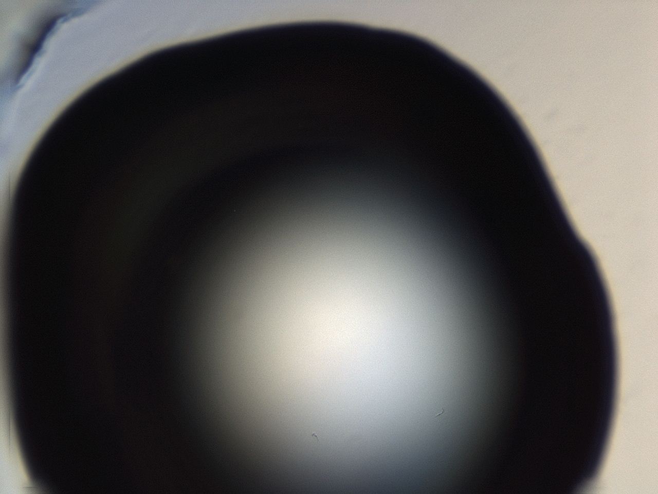 04f0_H4_ImagerDefaults_0.jpg